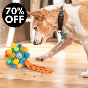 Pet Snuffle Ball™ (70% OFF)